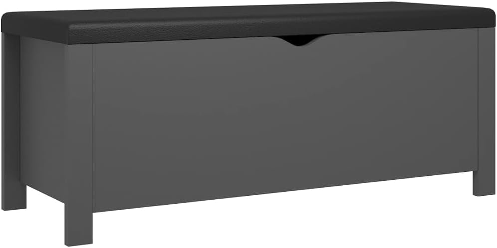 Modern Design Storage Box with a Cushion Bench, Entryway Bench with Cushioned Seat for Living Room, Home, Office, 41.3'x15.7'x17.7',-372