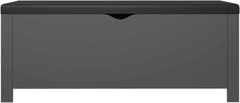 Modern Design Storage Box with a Cushion Bench, Entryway Bench with Cushioned Seat for Living Room, Home, Office, 41.3'x15.7'x17.7',-372