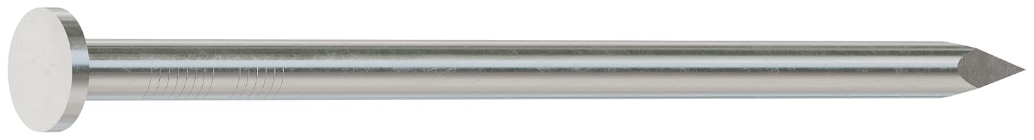 Simpson Strong-Tie S10CN1 Common Nail, Smooth Shank 3 in. x .148 in. Type 304 Stainless Steel (1 lb.) (Pack of 10)