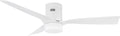 Carro 48' Flush Mount Black Ceiling Fan With 10 Speeds & 3 Colors Dimmable Light, Remote Control DC Low Profile Smart Ceiling Fan With Lights Compatible With Alexa, Siri & Google Home,White