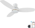 CEME 48' Ceiling Fan with Light Flush Mount, DC 10 Speeds Outdoor Ceiling Fan with Remote, 3 Light Colors Dimmable LED， Compatible with Alexa, Siri & Google Home, White