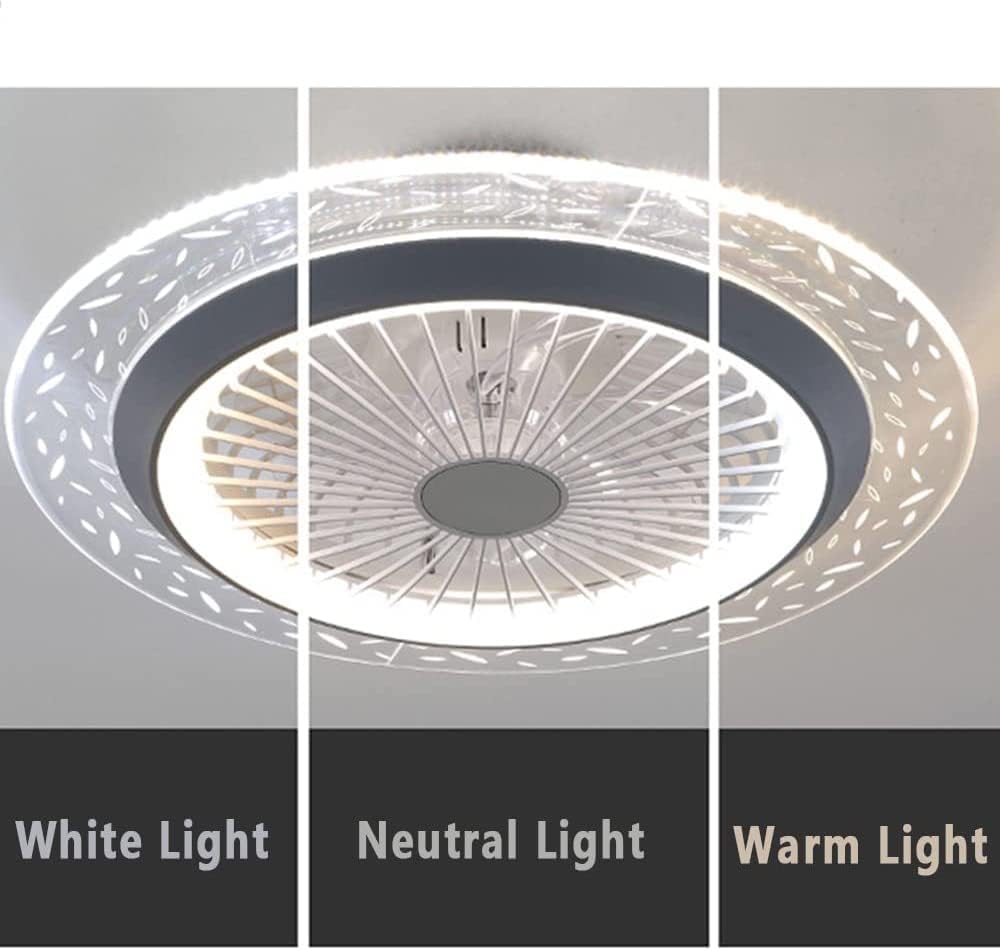 POCHY Ceiling Light Ceiling Fan Light Dimmable Ceiling Fan Lamp Enclosed Mute Pendant Light Fan Retro Led Lighting Ceiling Light Fixtures Beautiful Upscale