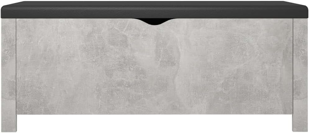 Modern Design Storage Box with a Cushion Bench, Entryway Bench with Cushioned Seat for Living Room, Home, Office, 41.3'x15.7'x17.7',-374