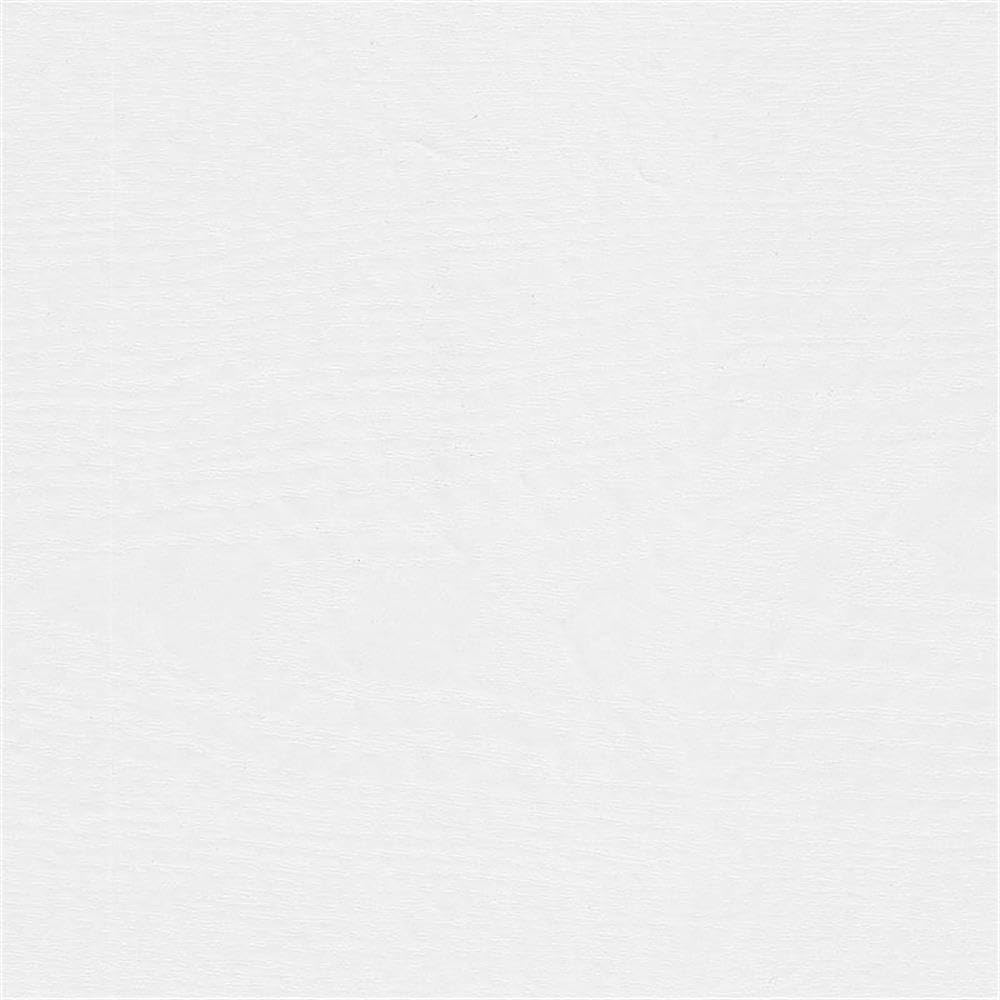 Bush Furniture Woodland 24W Small Shoe Bench with Drawer in White Ash | Narrow Footwear Organizer for Home Entryway, Mudroom, and Foyer