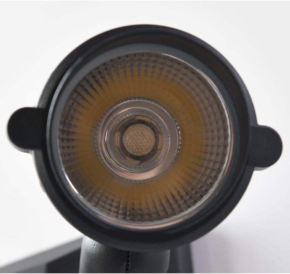 ICEMOB Double Head High Power Spotlight Wall Sconce LED-10W 3000K Landscape Lighting Wall Lamp The Black Die-cast Aluminum Lamp Body Is Waterproof Wall Sconce The Lamp Holder Can Be Rotated Outdoors W