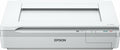 Epson DS-50000 Large-Format Document Scanner: 11.7' x 17' flatbed, TWAIN & ISIS Drivers, 3-Year Warranty with Next Business Day Replacement