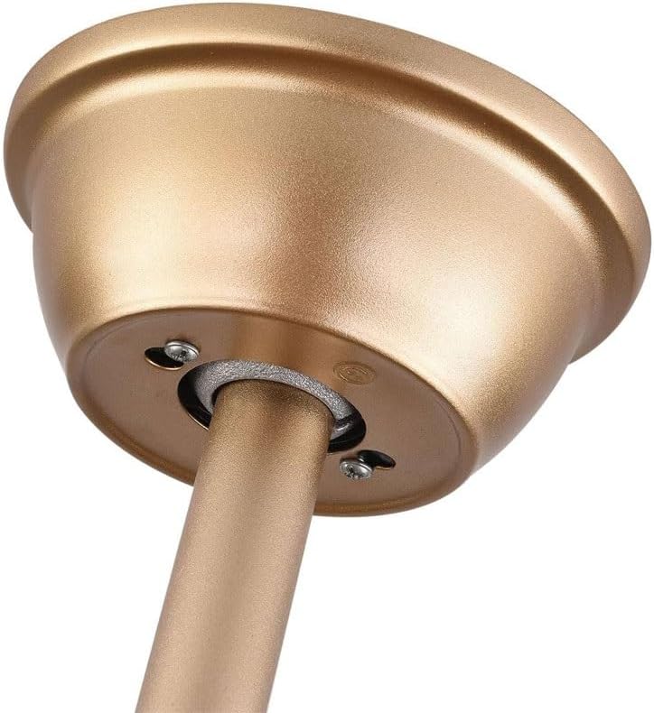 LYZAP Enclosed Ceiling Fan Indoor Remote，20inch Industrial Ceiling Fan with Lights，Gold Caged Retro Ceiling Fan Metal Bladeless，Chandelier Fan Lighting Fixture for Living Dining Room Bedroom Kitchen