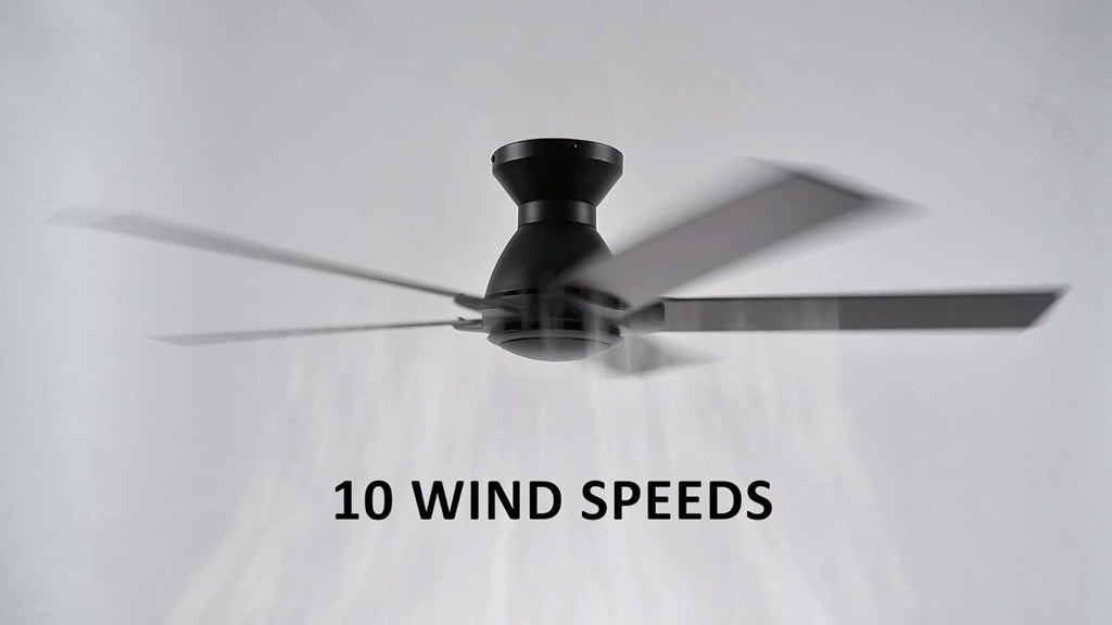 Carro 52 Inch Flush Mount Ceiling Fan without Lights, Black Ceiling Fan with Remote Low Profile, 10-Speed Reversible DC Motor, 5 Dual Finish Blades, Indoor for Bedroom
