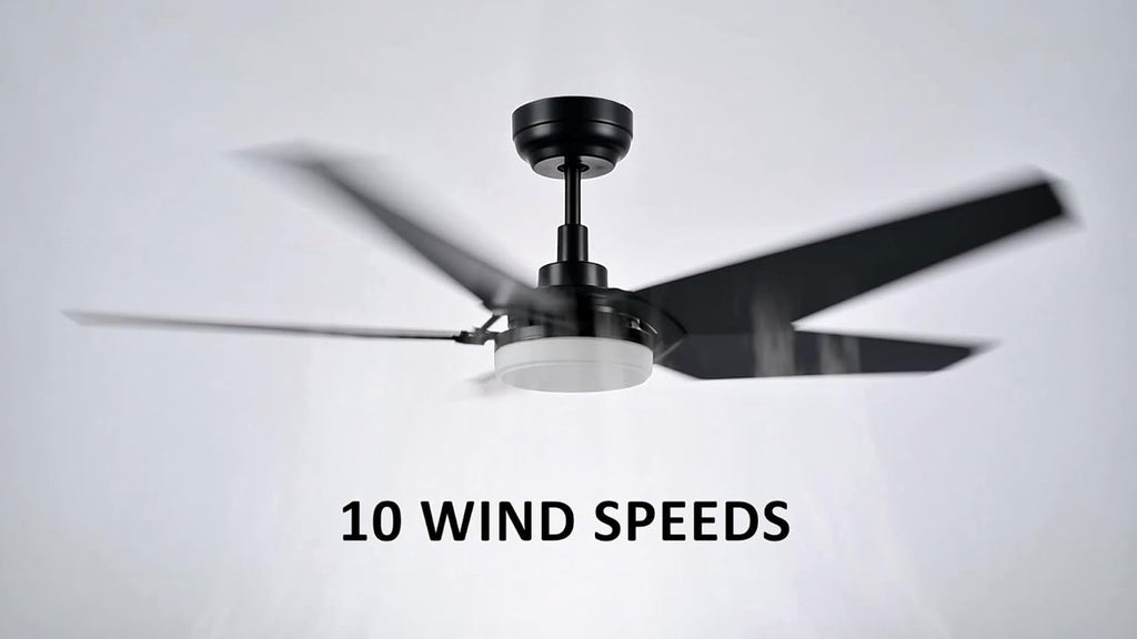 Carro 52' Modern Smart Ceiling Fan with Dimmable LED Lights and Remote, Compatible with Alexa/Google Home/Siri/APP, DC Motor with 10 Speeds, for Living Room Dining Bedroom, Black