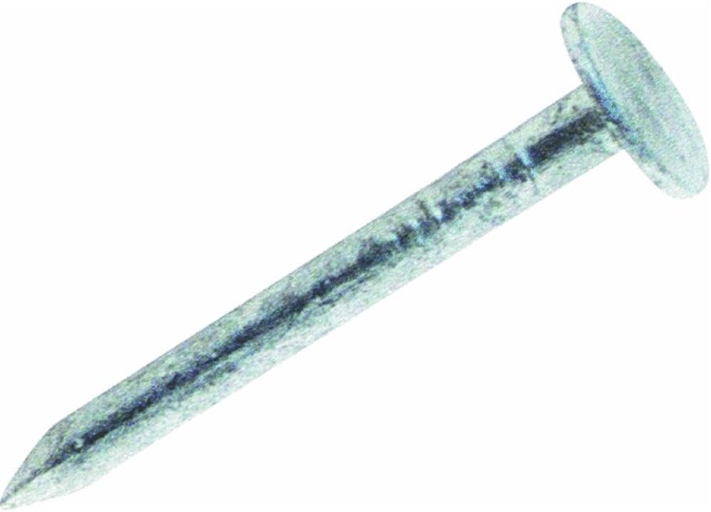 50 Lb 2' Hot Galvanized Barbed Roofing Nails