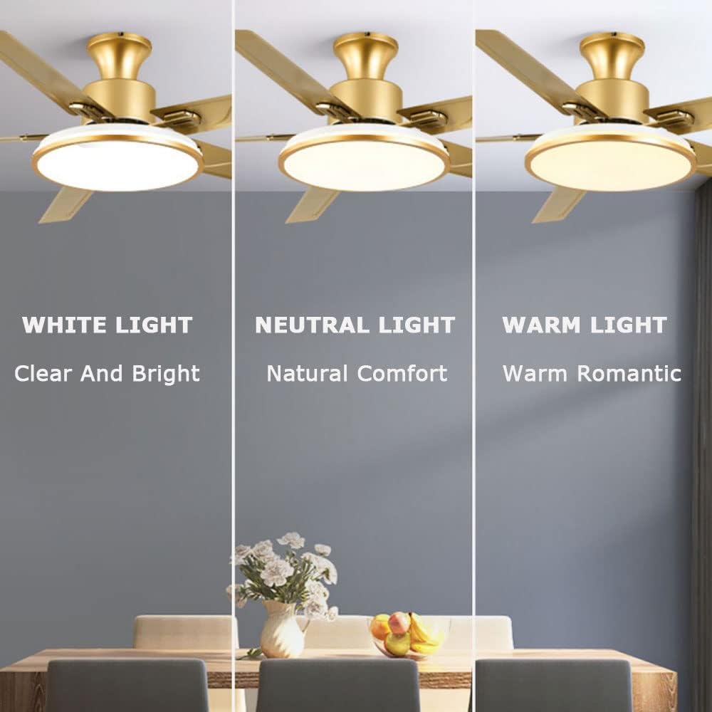 Ceiling Fans with Lights Flush Mount Outdoor Ceiling Fan with Lights 42 Inch Indoor Ceiling Fan Light LED Dimmable Smart Ceiling Fan Outdoor Ceiling Fans for Patios with Light