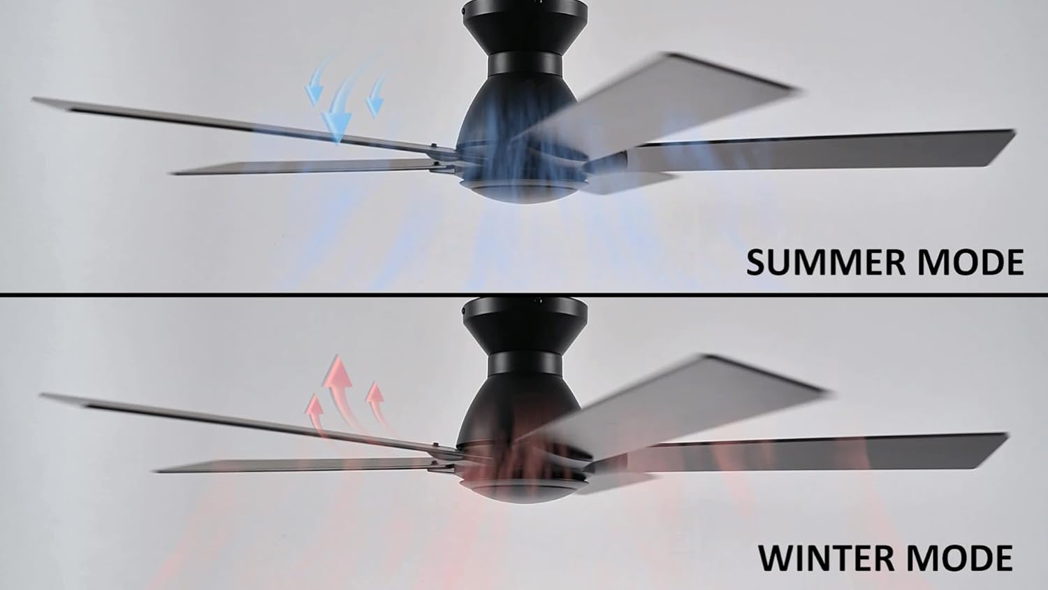 Carro 52 Inch Flush Mount Ceiling Fan without Lights, Black Ceiling Fan with Remote Low Profile, 10-Speed Reversible DC Motor, 5 Dark Walnut Finish Blades, Indoor for Bedroom