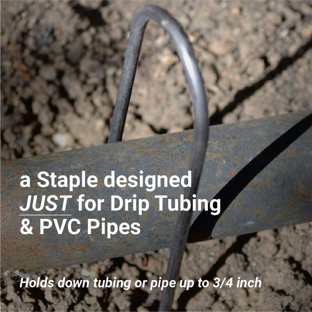 Sandbaggy Galvanized 6 Inch Round Top Landscape Staples ~ SOD Garden Stakes for Drip Irrigation Tubing & PVC Piping - Trusted by Farmers & Contractors Across USA (1,000 Staples)