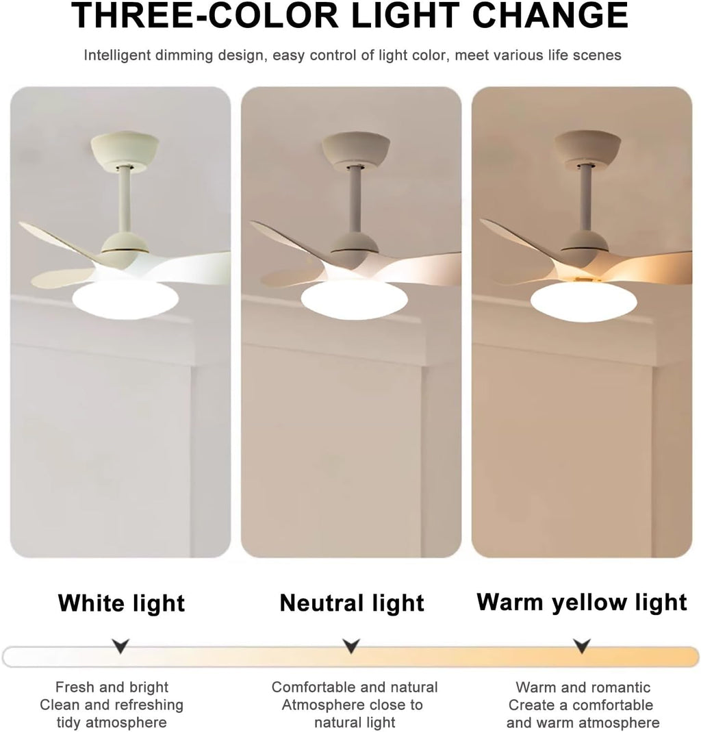 Small Ceiling Fans with Lights, Modern Ceiling Fans, Ceiling Fans with Lights and Remote, 3 Color Light, 6 Speed, for Kitchen Bedroom Dining Room Patio(White)