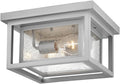 Hinkley Republic Small Flush Mount Outdoor Ceiling Light, Composite, Clear Seedy Glass Panes, Anti-Fading Finish, Satin Nickel Finish