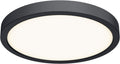 DALS Lighting 10 Inch Round Indoor/Outdoor LED Ceiling Flush Mount (Black)