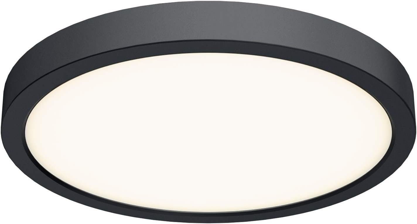 DALS Lighting 10 Inch Round Indoor/Outdoor LED Ceiling Flush Mount (Black)