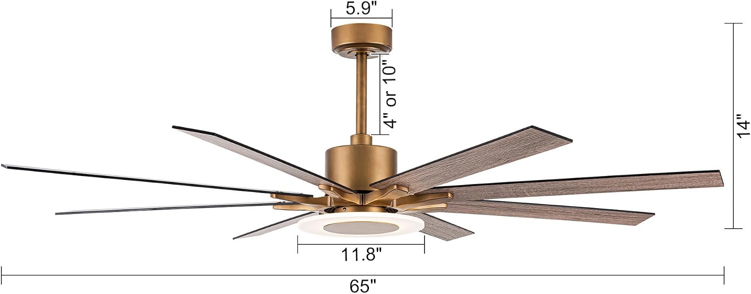 65'' Ceiling Fan with Light and Remote, Large DC Motor Fan, 6 Reversible Blades, 18W LED 3000K–5000K, Matte Black & Antique Brass Modern Ceiling Fan for Living Room Patio