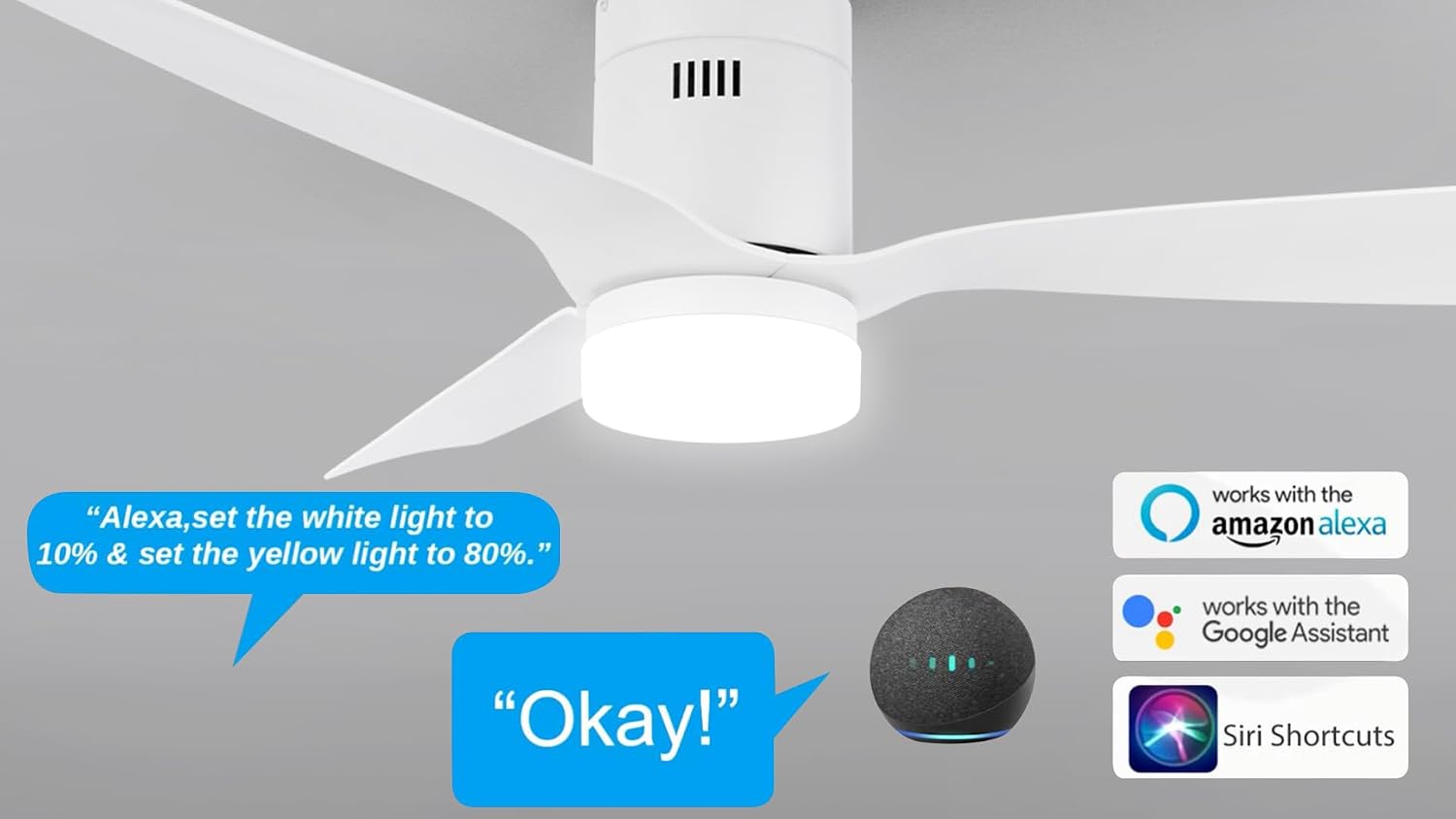 Carro 48' Flush Mount Black Ceiling Fan With 10 Speeds & 3 Colors Dimmable Light, Remote Control DC Low Profile Smart Ceiling Fan With Lights Compatible With Alexa, Siri & Google Home,White
