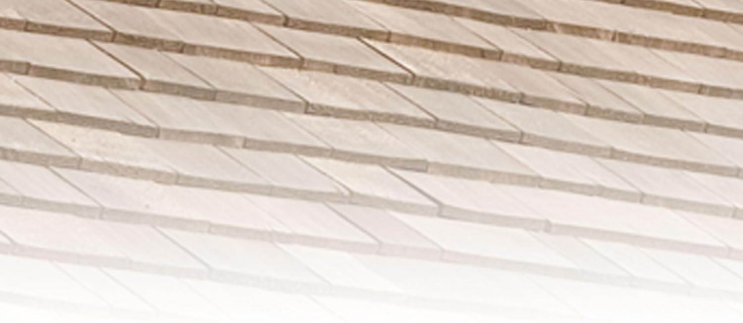 Simpson Strong-Tie S311ARNB Roofing Nail - 1-1/4 in. x 0.120 in. Annular Ring Shank Increases Withdrawal Resistance, Type 304 Stainless Steel, Diamond Point, Full Round Head (25 lb.)