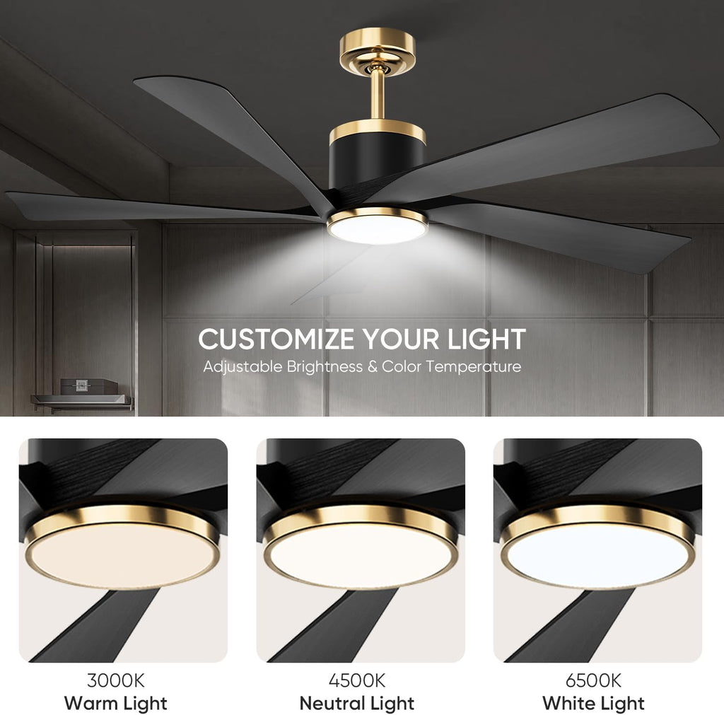 TXCSLY 52'' Ceiling Fans with Lights, Modern Ceiling Fan with Remote Control, Indoor Outdoor Ceiling Fan for Living Room, Bedroom, 5 Blade, 3 Color Temperature, Dimmable (Black & Gold)
