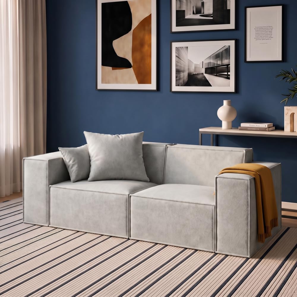 ROVE LAB Love Seat Sofa in a Box, No Assembly, Deep Seat and Comfy, Modular Sofa, Spill-Proof Fabric, Modern Small Couch for Living Room Loveseats, Bedroom, Apartment, Home Office (Platinum Grey)