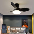 Ceiling Fans Lights with APP & Remote Control, Ceiling Fans with Lights and Remote, Modern Reversible Small Flush Mount Ceiling Fan 3 Colors Quiet 6 Speeds Ceiling Fan, for Bedroom/Patio(Black)