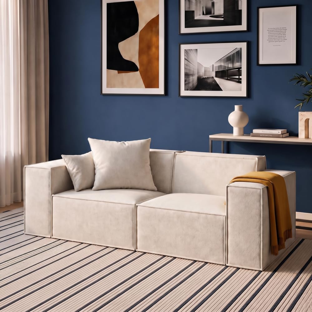 ROVE LAB Love Seat Sofa in a Box, No Assembly, Deep Seat and Comfy, Modular Sofa, Spill-Proof Fabric, Modern Small Couch for Living Room Loveseats, Bedroom, Apartment, Home Office (Helium Cloud)