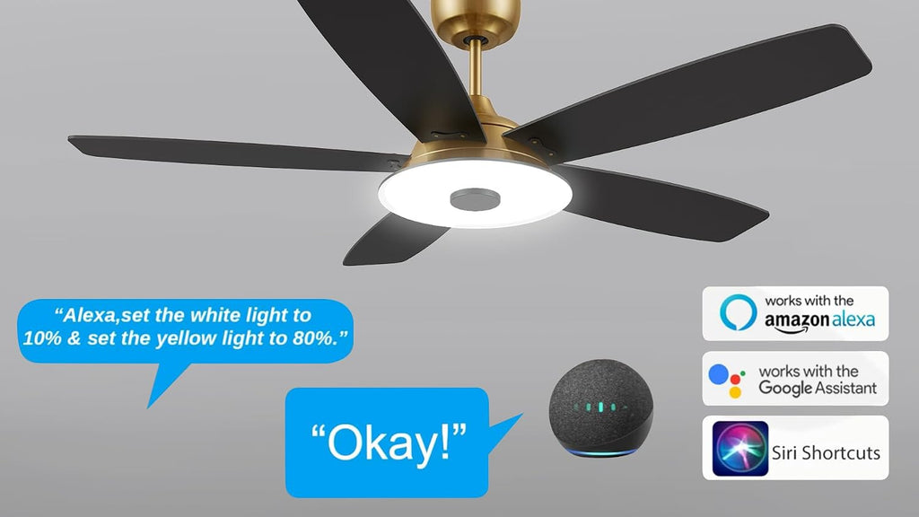 ARRO 52' Smart Ceiling Fan With 3 Light Colors Dimmable, Reversible DC Motor With 10 Speeds, Compatible with Alexa, Siri & Google Home & APP, Gold & Black