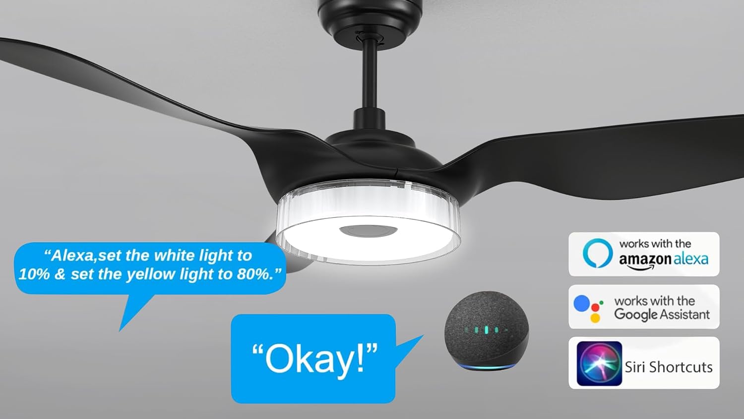 Carro 52' Ceiling Fan with Light and Remote, 10 Speeds Reversible Silent DC Motor Smart Ceiling Fan, 3 Light Colors Dimmable Indoor Outdoor, Compatible with Alexa, Siri & Google Home, Black