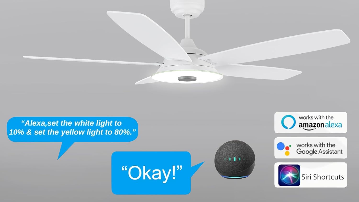 ARRO 52' Smart Ceiling Fan With 3 Light Colors Dimmable, Reversible DC Motor With 10 Speeds, Compatible with Alexa, Siri & Google Home & APP, White
