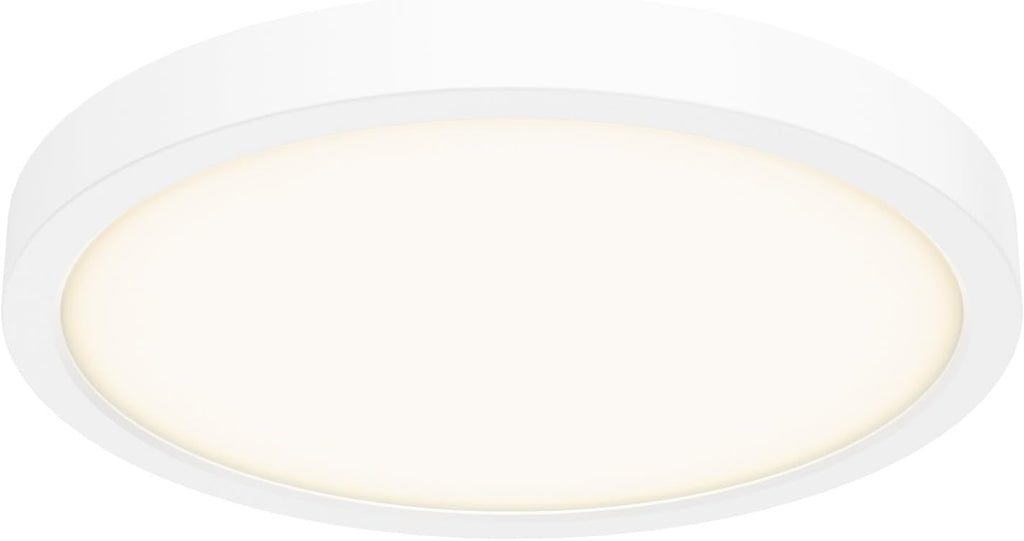 DALS Lighting 10 Inch Round Indoor/Outdoor LED Ceiling Flush Mount (White)