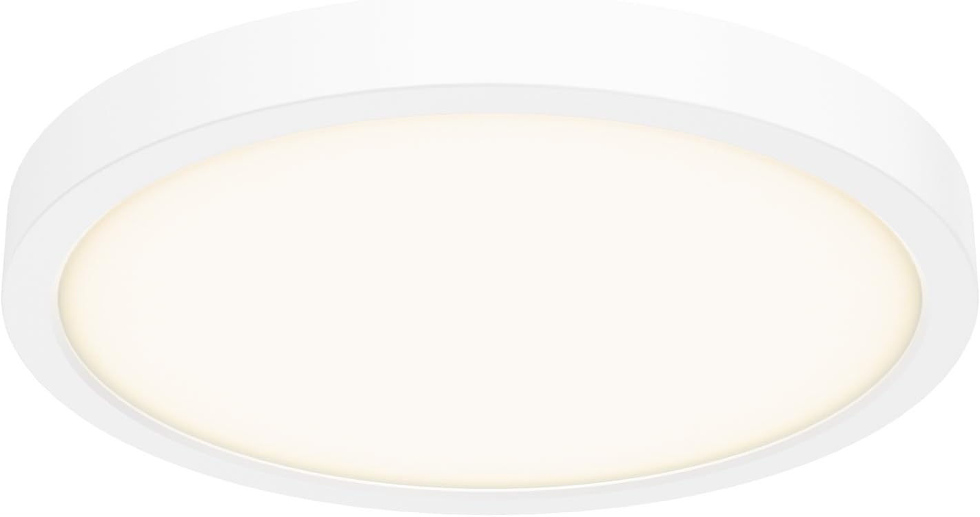 DALS Lighting 10 Inch Round Indoor/Outdoor LED Ceiling Flush Mount (White)