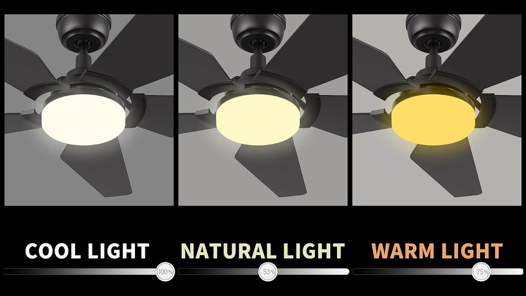 Carro 52' Modern Smart Ceiling Fan with Dimmable LED Lights and Remote, Compatible with Alexa/Google Home/Siri/APP, DC Motor with 10 Speeds, for Living Room Dining Bedroom, Black