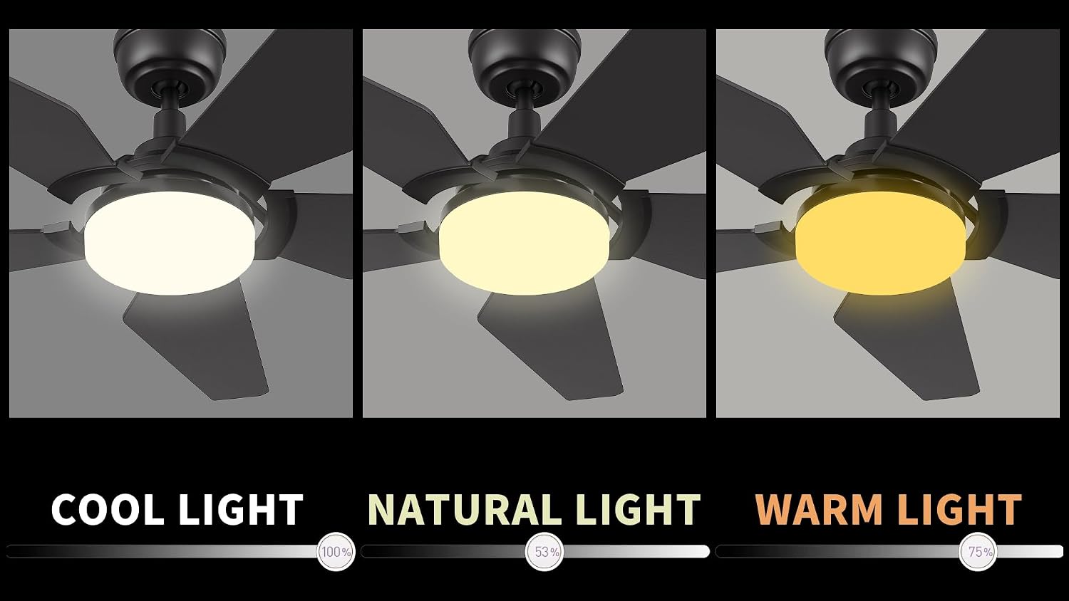 Carro 52' Modern Smart Ceiling Fan with Dimmable LED Lights and Remote, Compatible with Alexa/Google Home/Siri/APP, DC Motor with 10 Speeds, for Living Room Dining Bedroom, Black