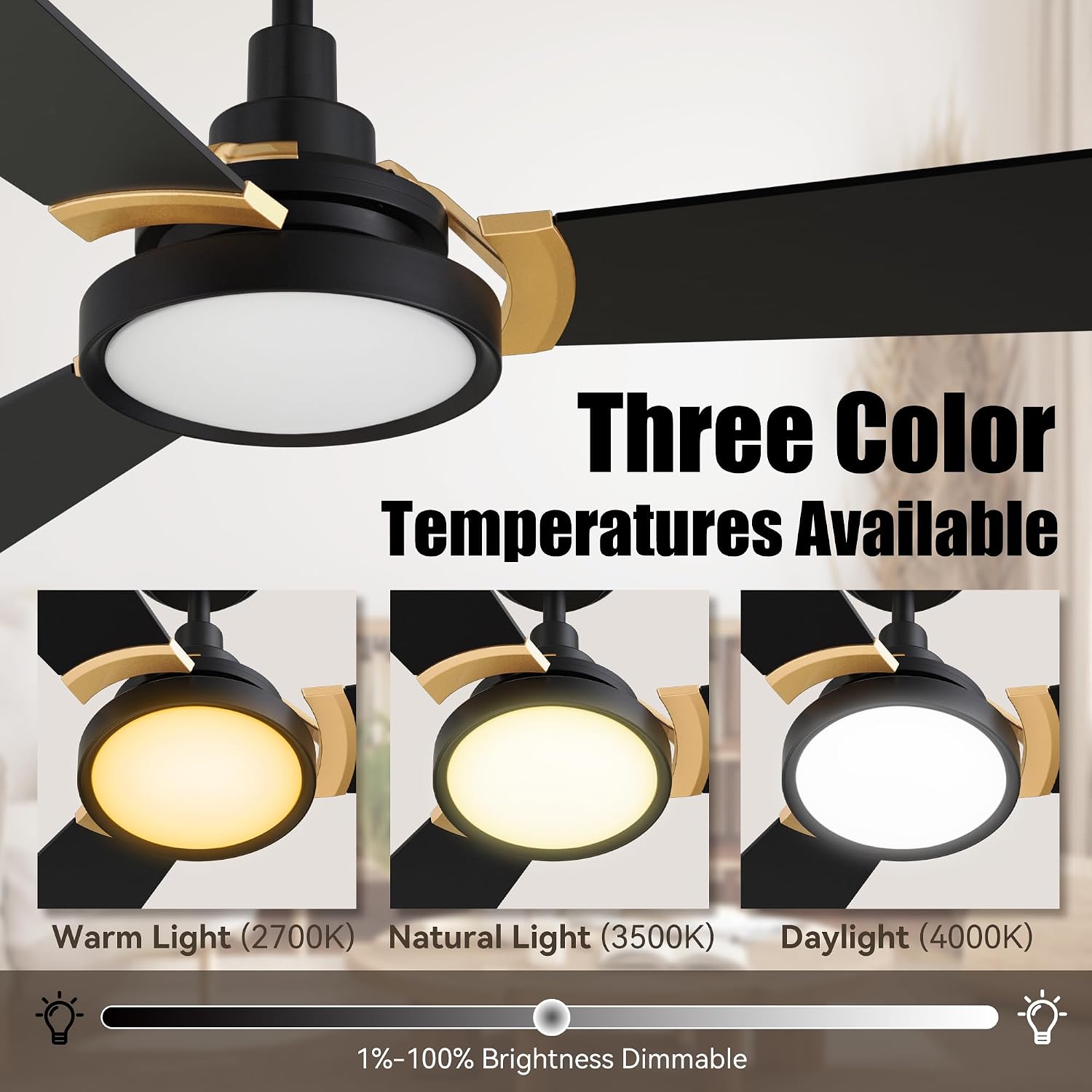 SMAAIR 56 Inch Black Ceiling Fan with Lights Remote Control and 10 Speed DC Motor, Low Profile Ceiling Fan with Dimmable Light works with Alexa/Google Assistant/Siri Shortcuts, 3 Blade, Black/Gold