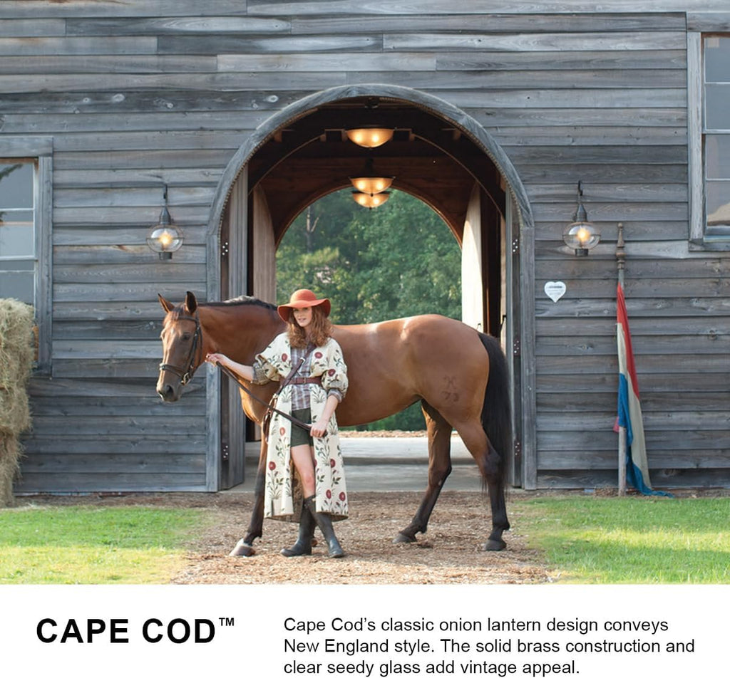 Hinkley Cape Cod 2203DZ Extra Small Outdoor Convertible Light Fixture, Flush Mount or Pendant, Even or Sloped Ceilings, Aged Zinc