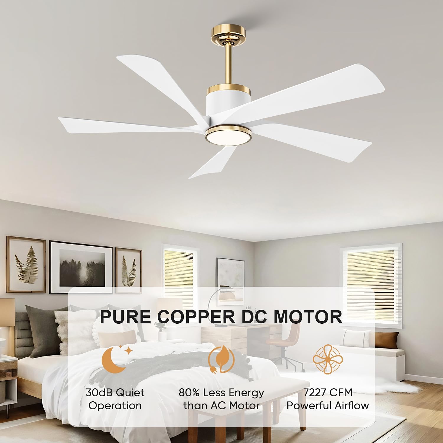 TXCSLY 52' Ceiling Fans with Lights and Remote, Modern Ceiling Fan with Light, Indoor Outdoor Ceiling Fan for Living Room, Bedroom, 5 Blade 3 Color Temperature LED Dimmable (White & Gold)