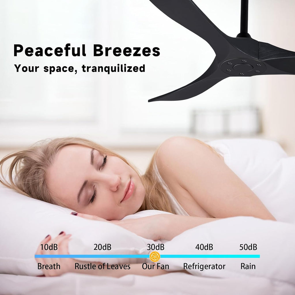 Bigzone 52' Outdoor/Indoor Black Ceiling Fans Without Lights with Remote Control, Energy Efficient DC Motor 27W, Smart Ceiling Fan With Reversible Blades
