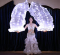 100% Silk LED Belly Dance Fan, Belly Dance Accessories, Belly Dance Fans for Outdoor Dance, Stage, Presentations, A