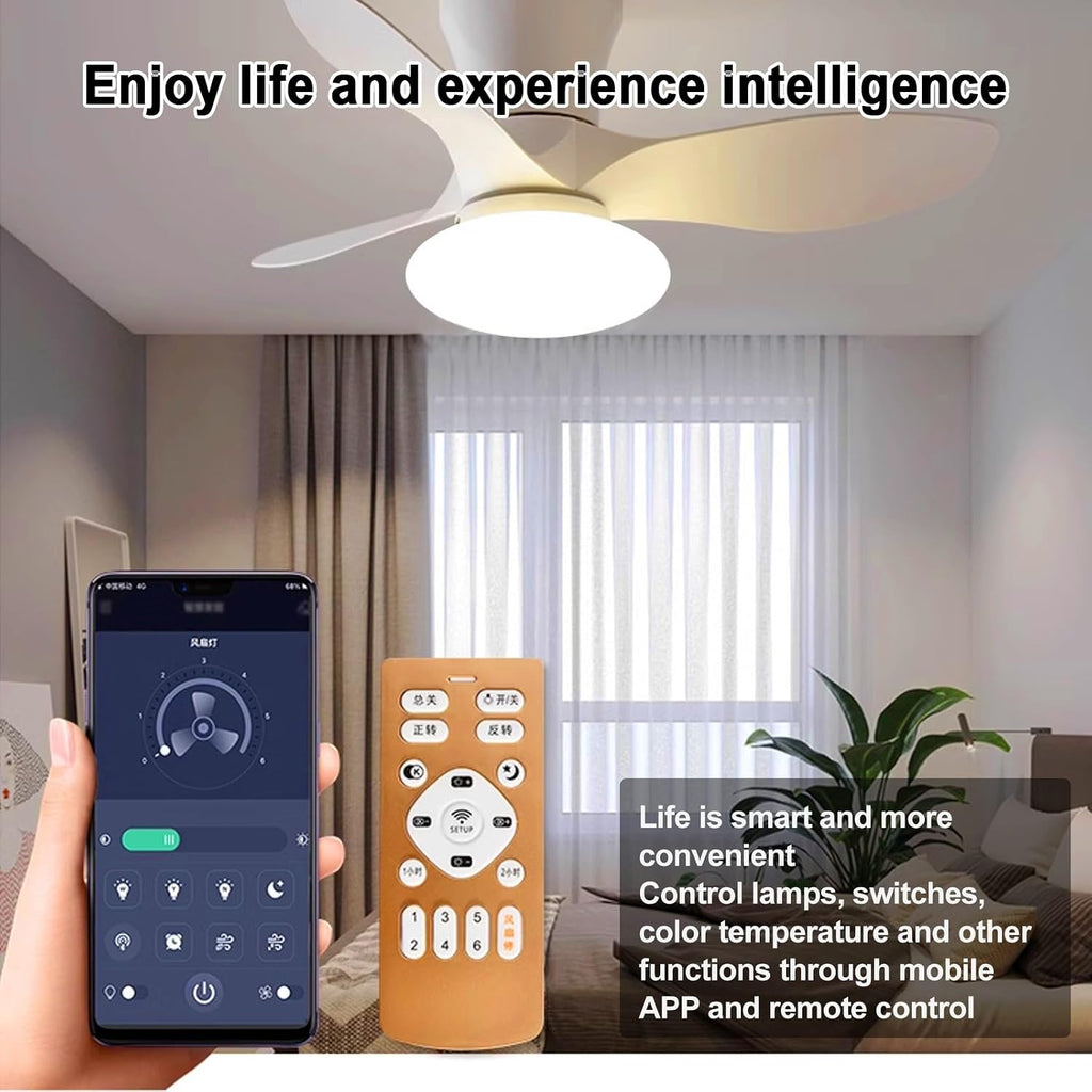 Ceiling Fans Lights with APP & Remote Control, Ceiling Fans with Lights and Remote, Modern Reversible Small Flush Mount Ceiling Fan 3 Colors Quiet 6 Speeds Ceiling Fan, for Bedroom/Patio(Black)