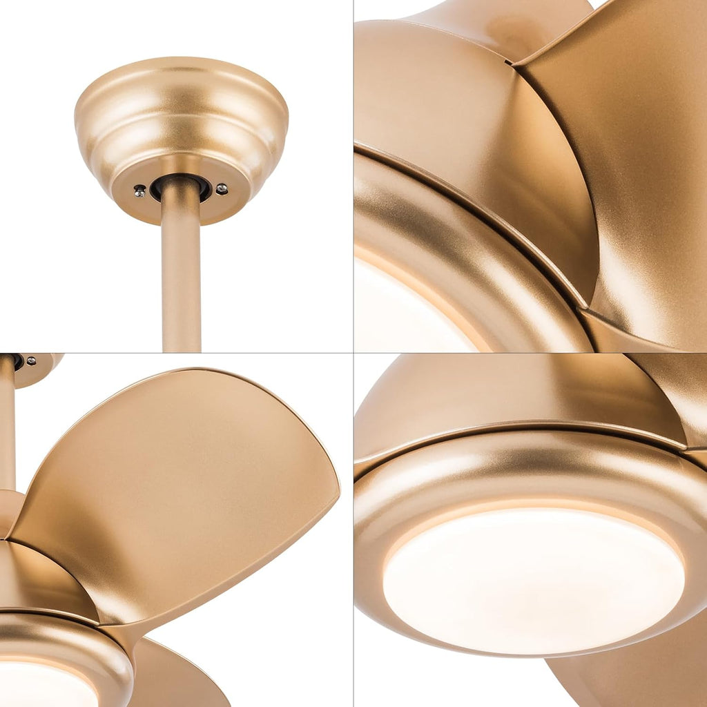 Ceiling Fans with Lights, 36 Inch Modern Low Profile Ceiling Fan with Remote Control 6 Speeds, 3000-6000K Dimmable Timing (1/2/4 hours) 3 Blades Large Ceiling Fan for Indoor and Outdoor Bedroom Patios