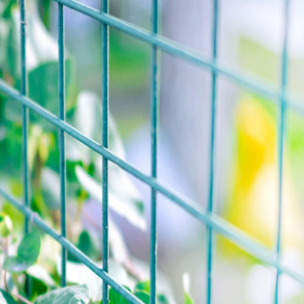 Nuvo Iron Welded Wire Fence Mesh - Rectangular Mesh 4' x 50' - Green Vinyl PVC Coated