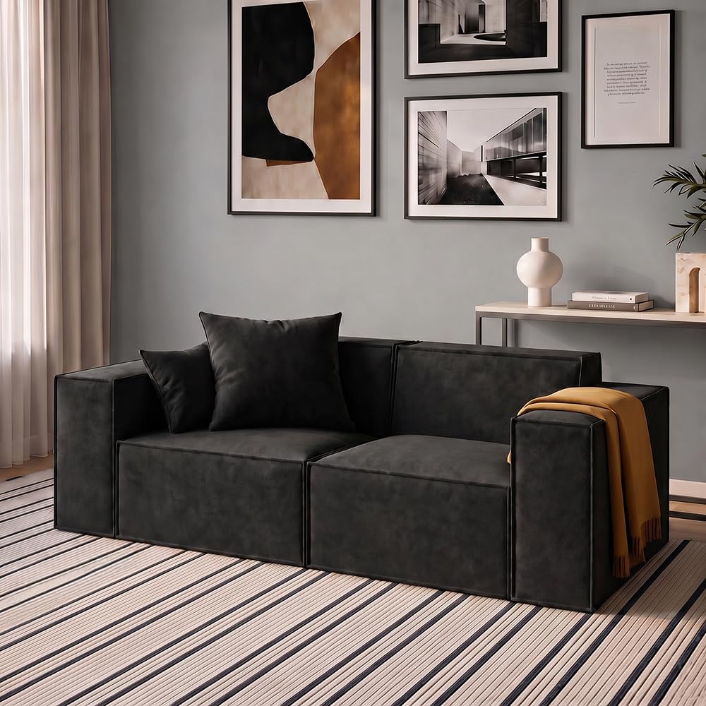 ROVE LAB Love Seat Sofa in a Box, No Assembly, Deep Seat and Comfy, Modular Sofa, Spill-Proof Fabric, Modern Small Couch for Living Room Loveseats, Bedroom, Apartment, Home Office (Carbon Black)