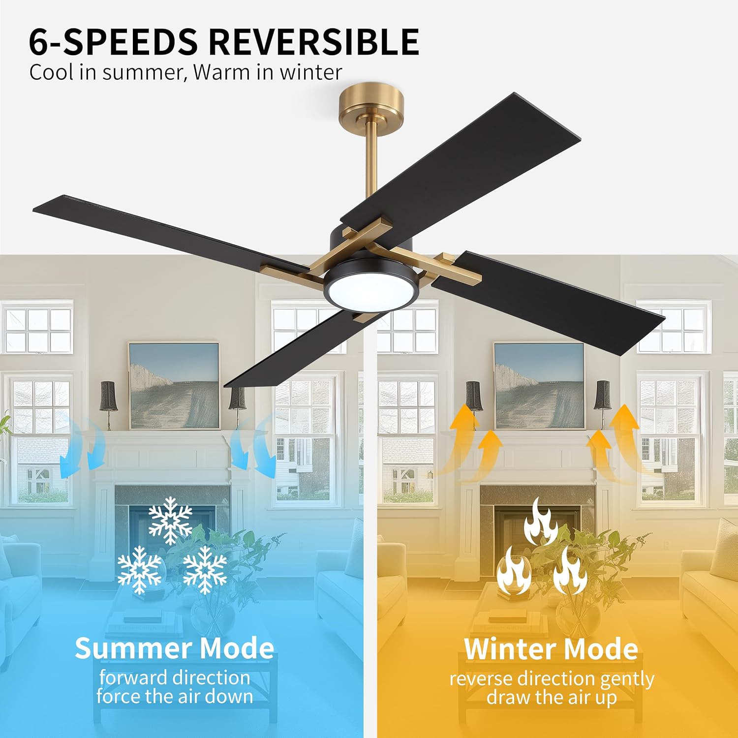 WINGBO 54 Inch Ceiling Fan with Light and Remote, 4 Plywood Blades, 6-Speed Reversible DC Motor, Dimmable, 3CCT, Farmhouse Ceiling Fan for Bedroom Living Room Kitchen, Brass and Black