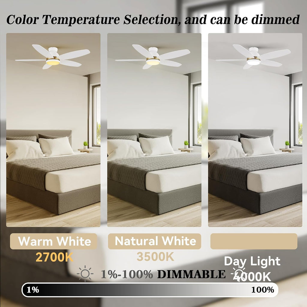 SMAAIR 48' Smart Ceiling Fan with Light, Low Profile Modern Ceiling Fan with Remote/APP/Voice Control via Alexa/Google Assistant/Siri,10 Speed, Flush Mount, Reversible DC Motor,5 Plywood Blades, White
