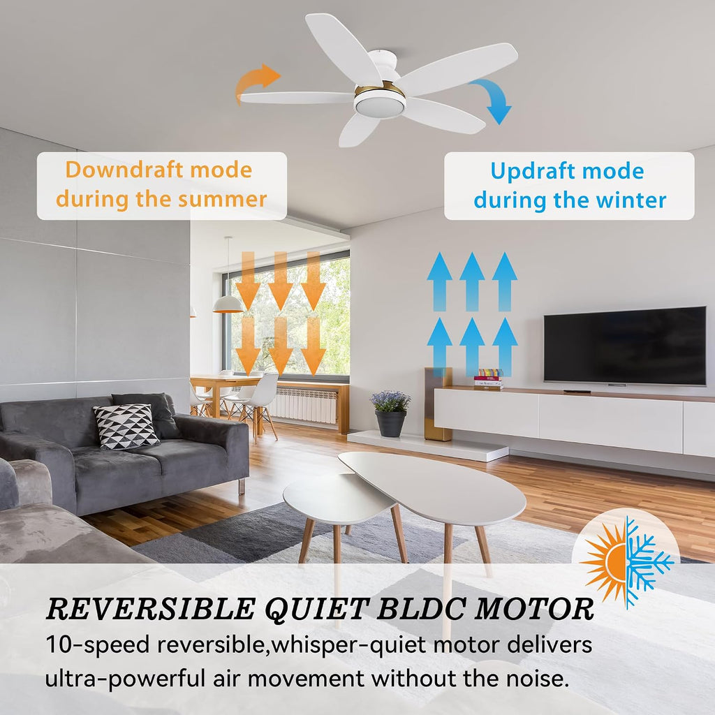 SMAAIR 48' Smart Ceiling Fan with Light, Low Profile Modern Ceiling Fan with Remote/APP/Voice Control via Alexa/Google Assistant/Siri,10 Speed, Flush Mount, Reversible DC Motor,5 Plywood Blades, White