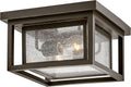 Hinkley Republic Small Flush Mount Outdoor Ceiling Light, Composite, Clear Seedy Glass Panes, Anti-Fading Finish, Oil Rubbed Bronze Finish