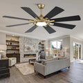 60 Inch Ceiling Fans with Lights, Black and Gold Modern Ceiling Fan with Remote Control for Living Room Kitchen, 3 CCT, 6 Speed Reversible DC Motor