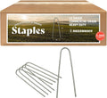 Sandbaggy Galvanized 6 Inch Round Top Landscape Staples ~ SOD Garden Stakes for Drip Irrigation Tubing & PVC Piping - Trusted by Farmers & Contractors Across USA (1,000 Staples)